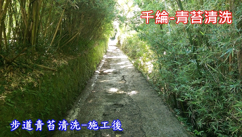 千綸-步道青苔清洗